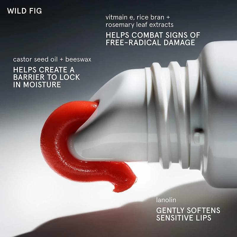 Balm Dotcom Lip and Skin Salve