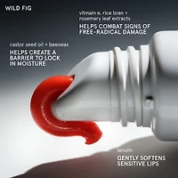 Balm Dotcom Lip and Skin Salve