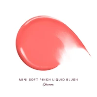 Mini Soft Pinch Liquid Blush