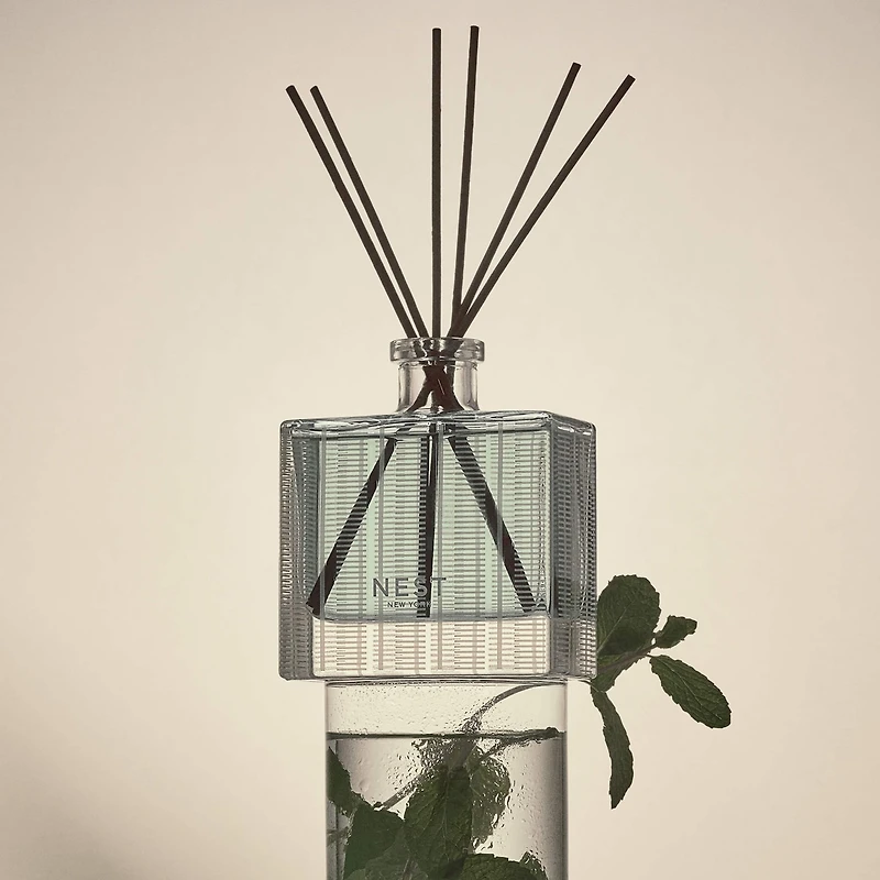 Diffuseur à roseaux Menthe sauvage et Eucalyptus
