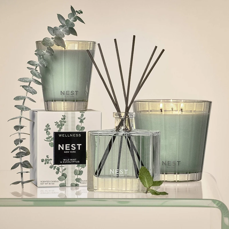 Diffuseur à roseaux Menthe sauvage et Eucalyptus