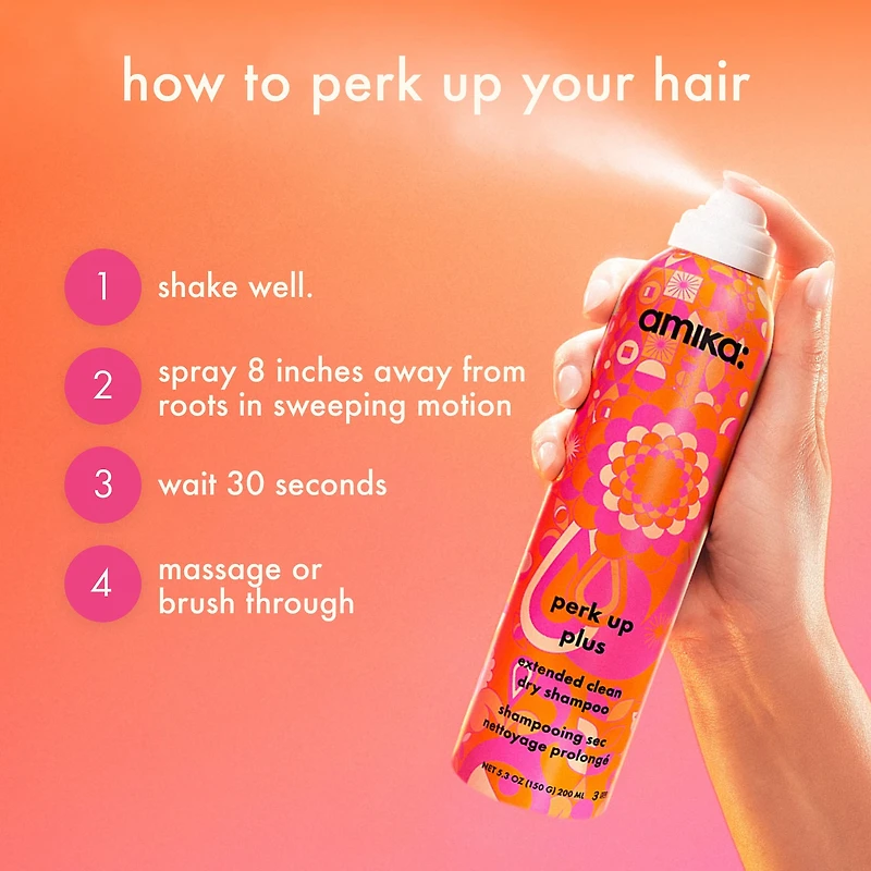 Perk Up Plus Extended Clean Dry Shampoo
