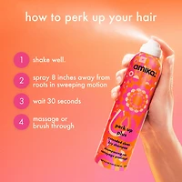 Shampoing sec Perk Up Plus Extended Clean