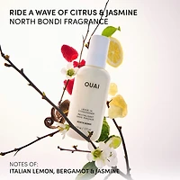 North Bondi Conditioning, Detangling, and Frizz Fighting Leave-in Conditioner