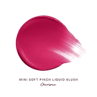 Mini Soft Pinch Liquid Blush