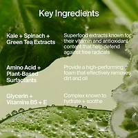 Superfood Hydrating Gentle Antioxidant Refillable Cleanser