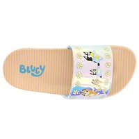 Bluey Family Slide