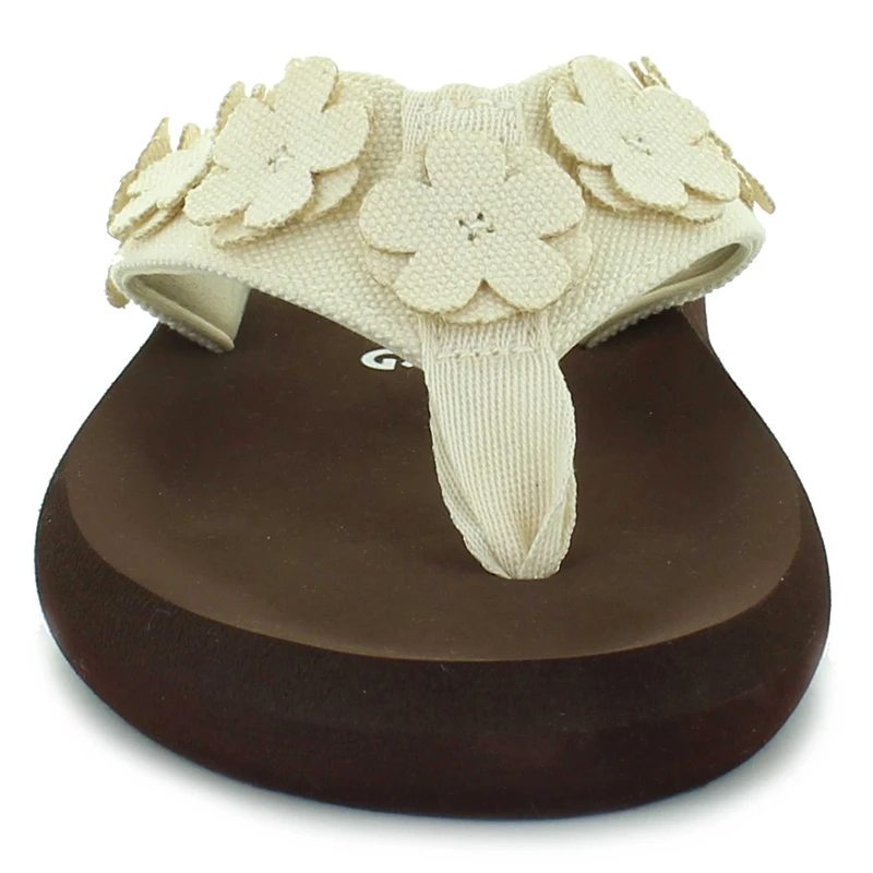 Rocket Dog Sunsetbloom