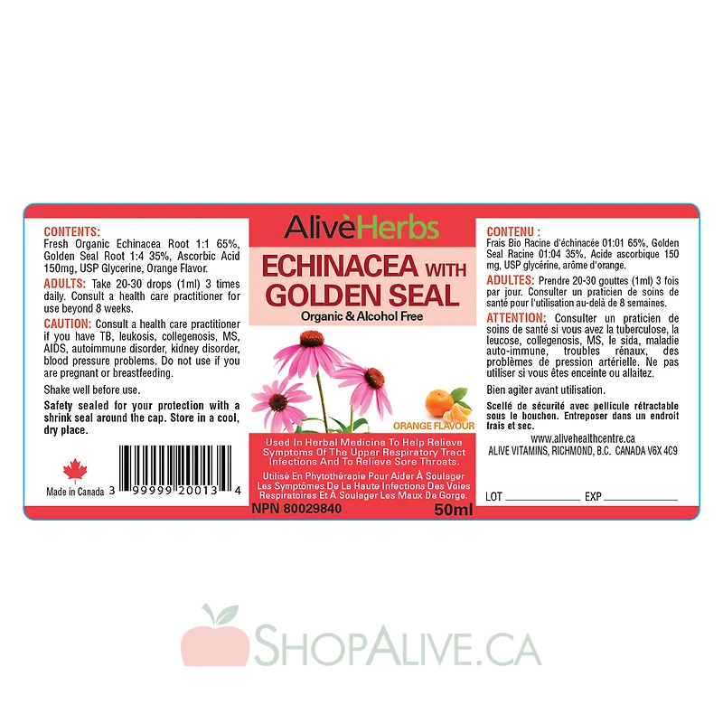 Echinacea with Golden Seal