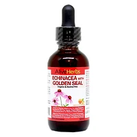 Echinacea with Golden Seal