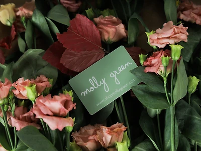 Molly Green | Women's Clothing Boutique Nashville & Online