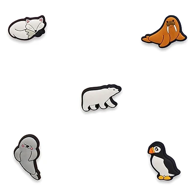 In The Arctic 5 Pack