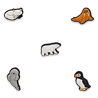 In The Arctic 5 Pack