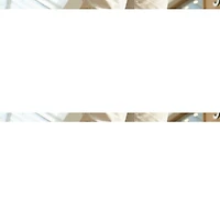 Unisex Hardie II Casual Chelsea Boot - Whiskey