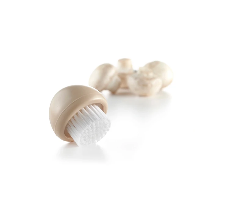 Brosse à champignon
