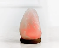 Lampe en sel d'Himalaya - USB - Multicolore
