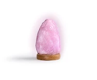 Lampe en sel d'Himalaya - USB - Multicolore