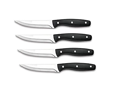 Ensemble de couteaux de 4 pièces Gage