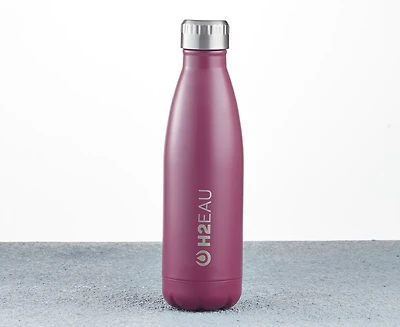 Thermo Water Bottle, 17 oz, Raspberry