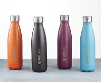 Thermo Water Bottle, 17 oz, Raspberry