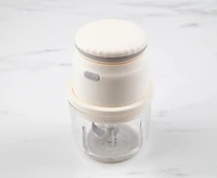 Hachoir Alimentaire Fresh USB par thinkkitchen, 300 ml