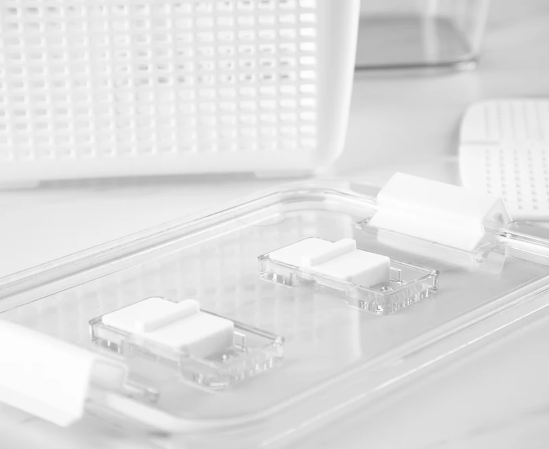 Fridge Container with Double-Layer Basket, 2 L