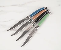Ensemble de 4 couteaux à steak Laguiole, nouvelles couleurs
