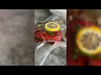 Sac scellé sous vide Pro par thinkkitchen, 20 pièces