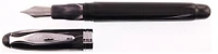Noodler's Ink Fountain pen, Ahab series Black & White (Flex nib)