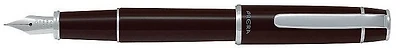 Pilot Fountain pen