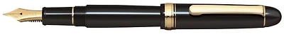 Platinum Fountain pen