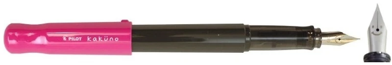 Pilot Fountain pen