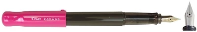 Pilot Fountain pen