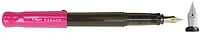 Pilot Fountain pen