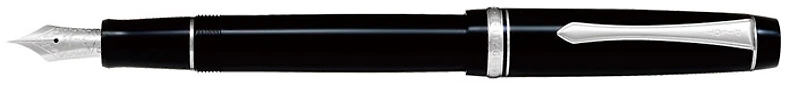 Pilot Fountain pen