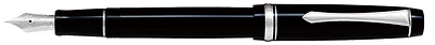 Pilot Fountain pen