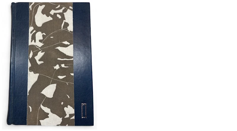 Atelier Ecluse Large journal, Aube series (Charlevoix)