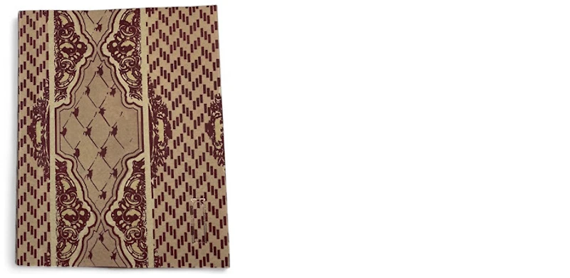 Petit journal Atelier Ecluse, série Récif (Saint-Henri)