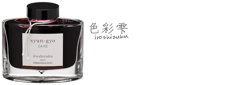 Pilot Ink bottle