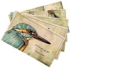Papier Buvard Esterbrook, série BUNGUBOX Kingfisher Edition