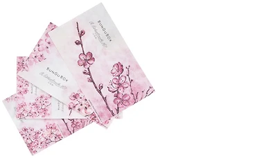 Esterbrook Blotter paper, BUNGUBOX Kachofugetsu Flower LE series Cherry blossom