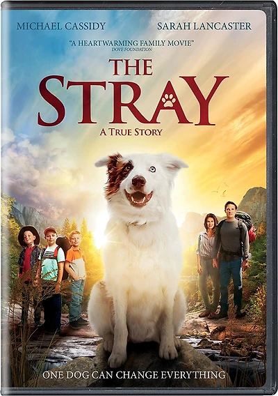 Stray, The (DVD)