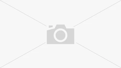 MENDES,SHAWN: SHAWN MENDES(LP) (LP)