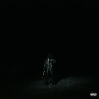 If Looks Could Kill - Limited