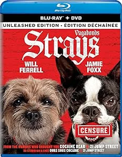 STRAYS BLU BIL