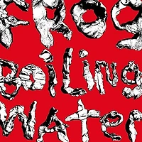 DIIV / FROG IN BOILING WATER(LP)