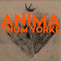 Anima Deluxe Double Vinyl (Hardback Book Edition)