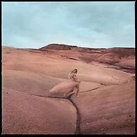 Strays [Indie Exclusive Limited Edition Signed Booklet + Bonus Track CD]