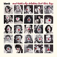 And That's Why Dolphins Lost Their Legs