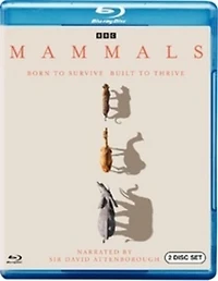 Mammals